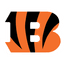 NFL Logo