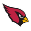 NFL Logo