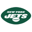 NFL Logo