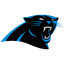 NFL Logo